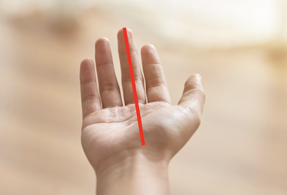 Capture d’écran 2020-06-03 à 12.41.04